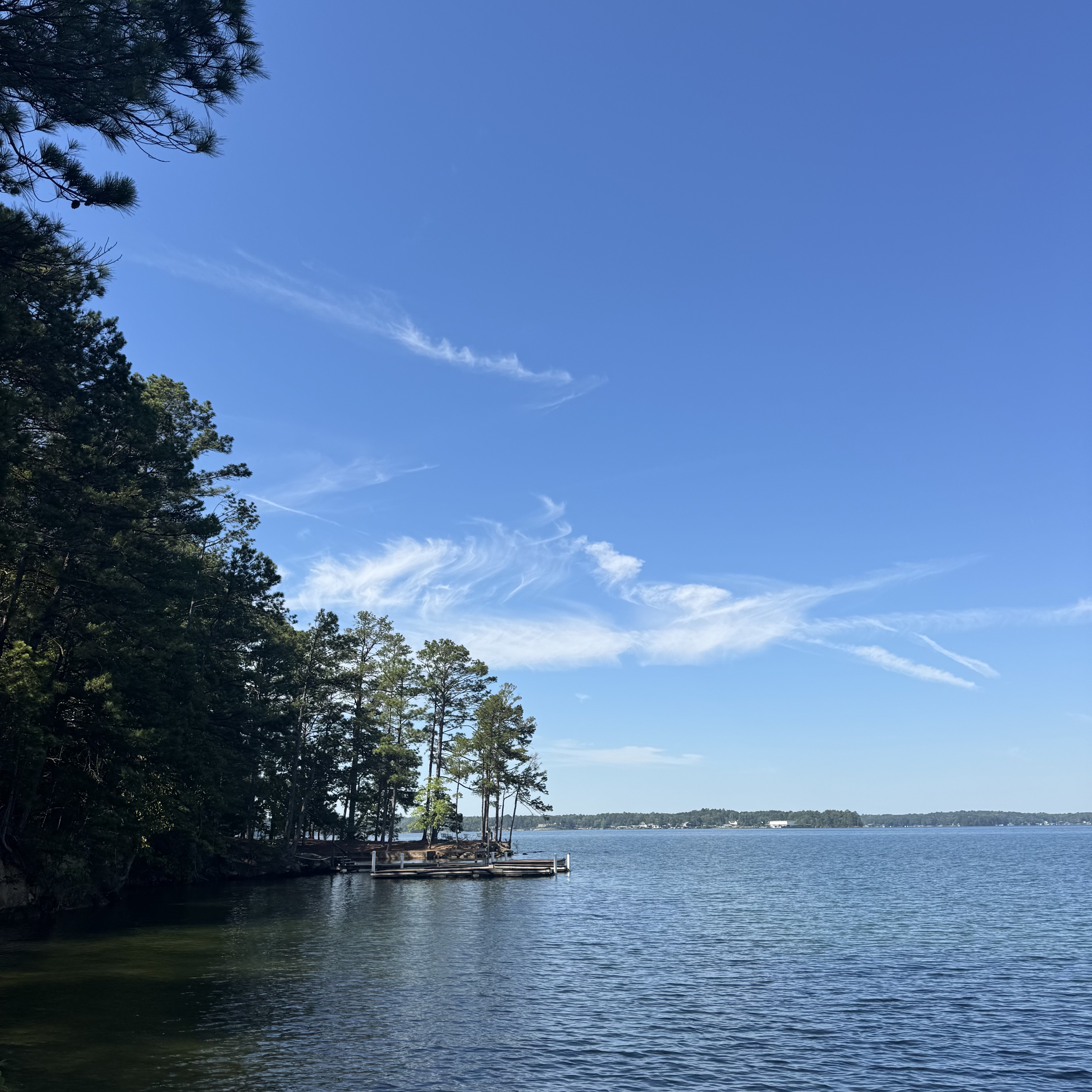 Lake Martin